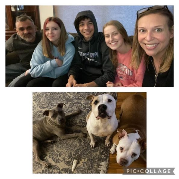 Pictured Above Steve, Sophia, Anthony, Maddie (Bailey) and Angela Ferensic and their resident dogs Blue, Rocco and Chicken-Little.